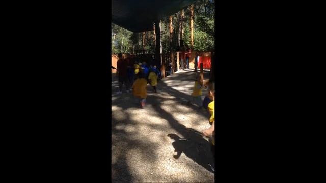 Детский сад играет в Форт Боярд в Екатеринбурге смотреть онлайн