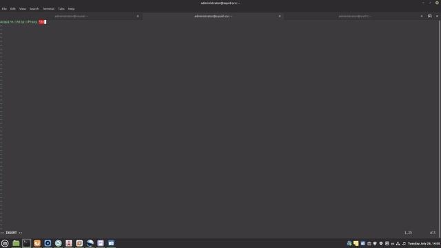 Squid Proxy Server смотреть онлайн