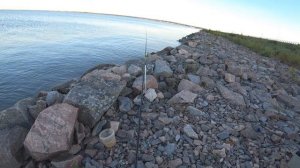 РЫБАЛКА НА ДАМБЕ ФИНСКОГО ЗАЛИВА НА ФИДЕР ЛЕЩ ПЛОТВА ГУСТЕРА РАДУЮТ ПОКЛЕВКАМИ 2022 В СПБ И ЛЕН ОБЛ