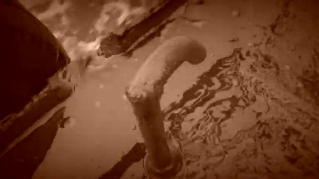 Триллер: Экспедиционная одиссея Одесского ИнБЮМ смотреть онлайн