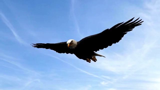 Легенда об орлятах. Орлята России смотреть онлайн