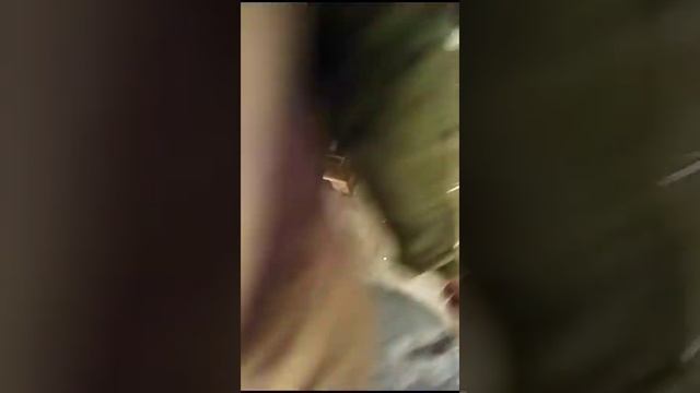 3108 И от 2023 11 17 at 11 10 50 2. Доставка в Нальчик, проверка плитки смотреть онлайн