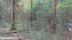 Аэрозольный пистолет (устройство) Добрыня  Обзор, применение