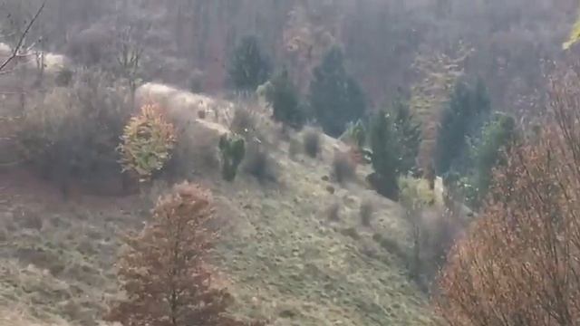 Suzuki drz 400 смотреть онлайн