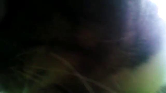 Кошка делает массаж смотреть онлайн