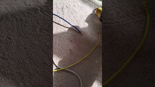STC 1000 termostat bağlantısı. kuluçka Makinesi için смотреть онлайн