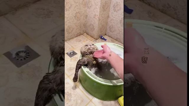 Царская баня смотреть онлайн