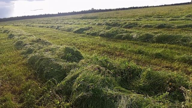кпс 5г краткий обзор смотреть онлайн