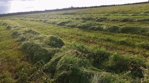 кпс 5г краткий обзор