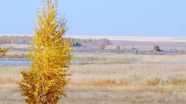 14.05.2021 СЛУЖЕНИЕ В ОРСКЕ. СВЕТЛЫЙ ВЕЧЕР НА РАДИО ВЕРА. В ГОСТЯХ ПРОТ.СЕРГИЙ БАРАНОВ. смотреть онлайн