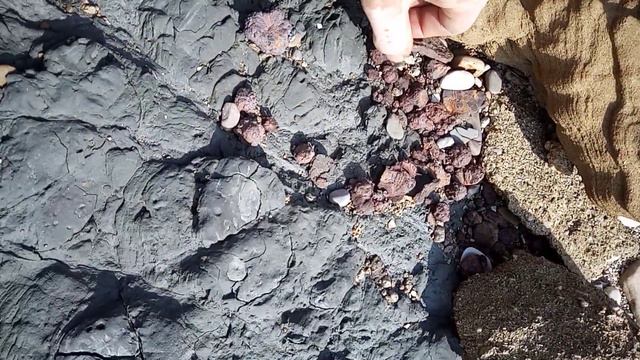 Железные камни в глине Азовского моря смотреть онлайн