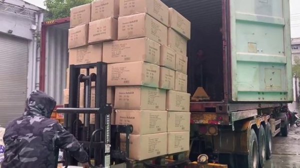 best wendadeco Factory Shipped Festoon Lights in Containers reviews