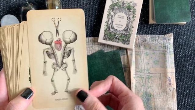 Viewer Request: Oracle of Oddities 1st, 2nd, 3rd Edition смотреть онлайн