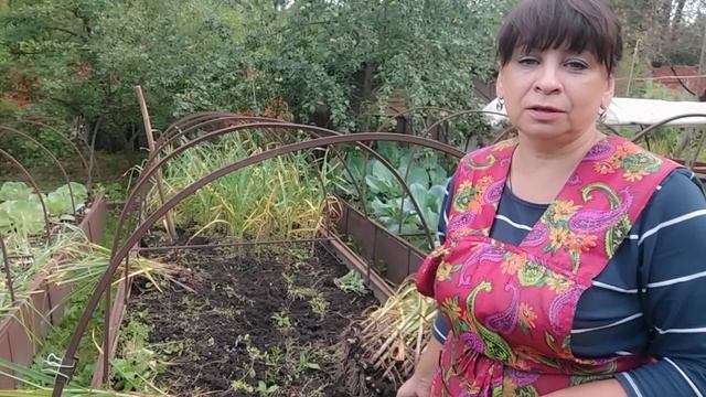 Лечь в больницу или лечиться дома? Ужин в печи. Уборка чеснока. Жизнь семьи в деревне.