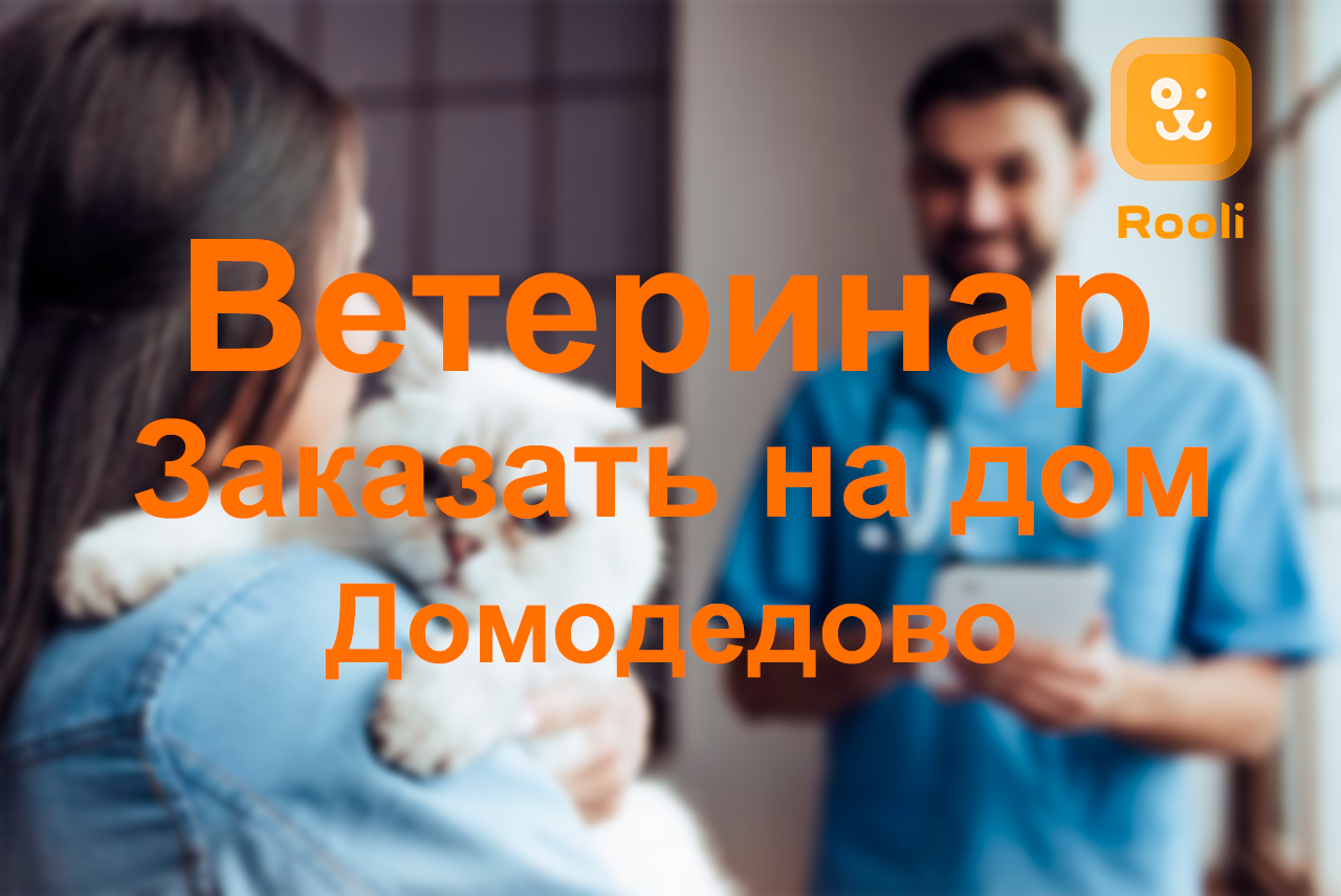 Ветеринар в Домодедово: Профессиональная медицинская помощь вашим питомцам. Отзывы и опыт. смотреть онлайн