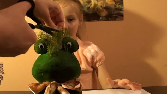 Смотреть ВСЕМ! Стрижка Лягушонка и пылесос Мурзик! смотреть онлайн