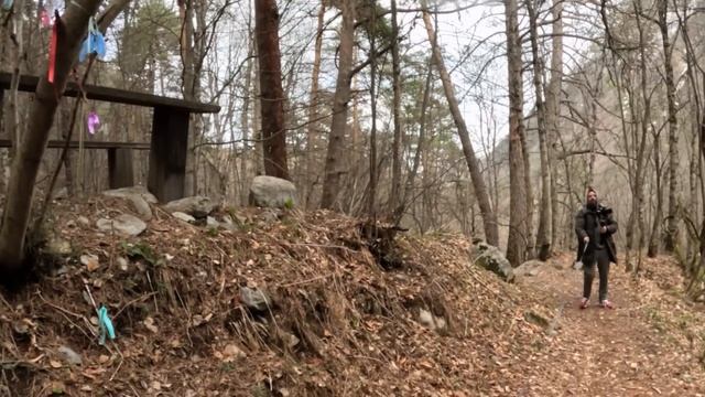 Открыли #VANLIFE сезон! Проехали 9000 км с бультерьером! смотреть онлайн