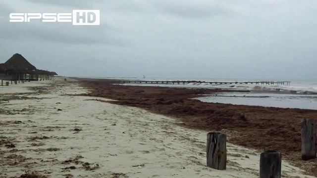 sipse HD1 test смотреть онлайн