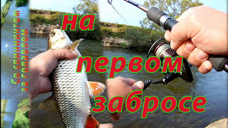 TsuYoki Fugaz SSR 36F сегодня был в ударе.Ловля голавля на спиннинг. смотреть онлайн