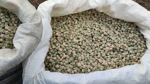 Горох Оскар. Посевной материал самозбор смотреть онлайн