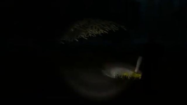 Прохождение игры Survivers Viy #2 Проклятая ведьма!