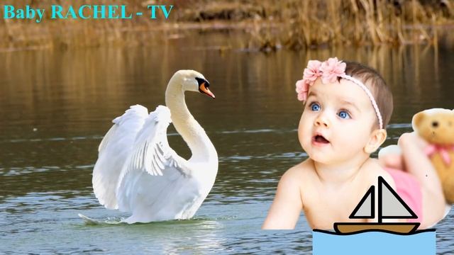 MUSICA DE NINAR || ED Sheeran - PERFECT ? Esther Abrami - A Minor Waltz || Vol. 1 || שיר גן עדן ?? смотреть онлайн