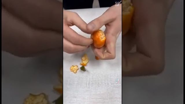 Video-1f86cbfc85b27b920467742c9b906baa-V.mp4