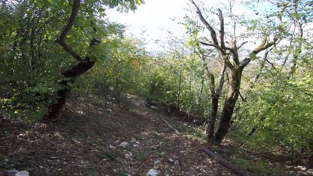 Тренировка на даунхильной трассе "7 ветров красная" смотреть онлайн