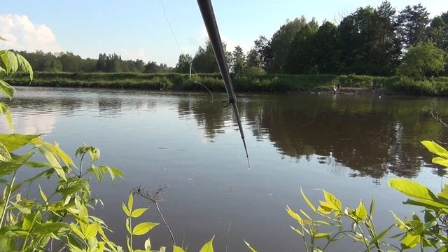 Первая рыба в 2020 на Канале имени Москвы. Летняя рыбалка на поплавок. смотреть онлайн