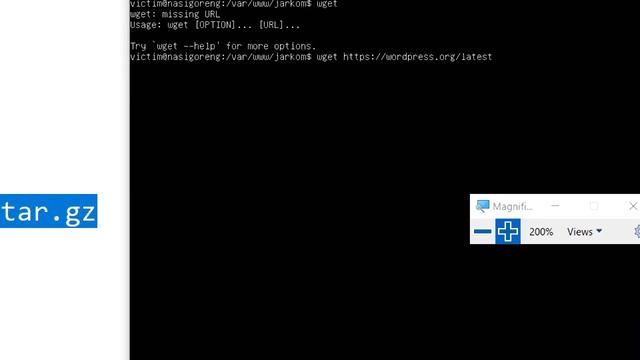 Menggunakan wget di Ubuntu Server 18.04 смотреть онлайн