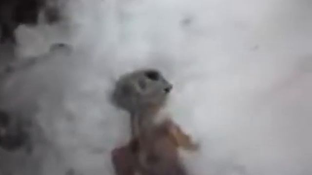 А ПРИШЕЛЬЦЫ оказывается тоже умирают смотреть онлайн