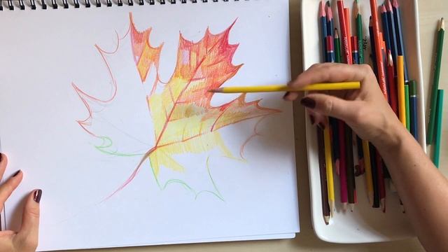 Рисуем кленовый лист цветными карандашами вместе с художницей Наталкой Барвинок #класс_по_рисованию смотреть онлайн