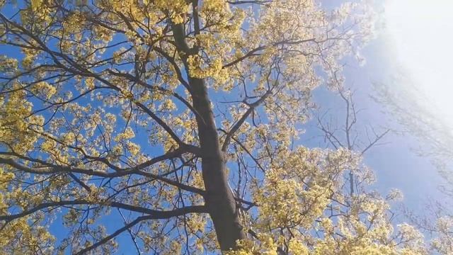Мичуринский проспект. Метро Мичуринский проспект. Москва. ЖК Небо. смотреть онлайн