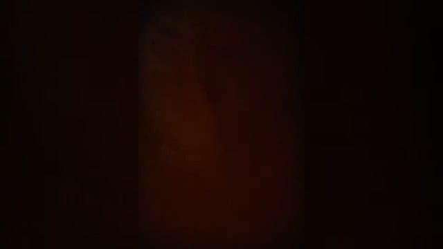 Мой Диксон смотреть онлайн