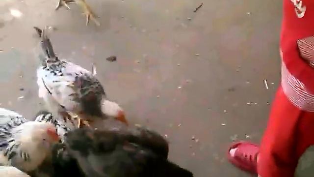 смешно очень девочка матерится. смотреть онлайн