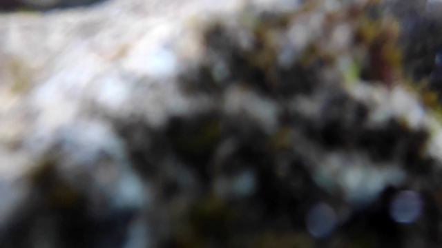 Хибины водопад смотреть онлайн