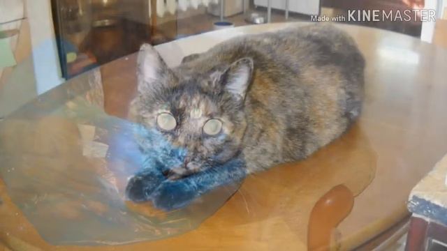 ... улети на небо... смотреть онлайн