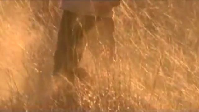 Он не использует общепринятые методы. Lions - The New Endangered Species? смотреть онлайн