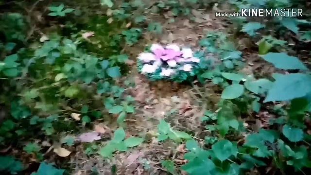 Влог в лесу. УРАААаааа...? смотреть онлайн