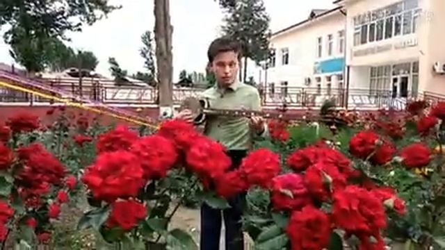 Sultonxo‘ja Yunusjonov O‘zbekiston Gulzor