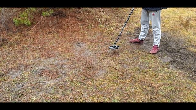 Двухчастотный датчик 15x25 см, Quazar F3, Квазар Ф3 смотреть онлайн