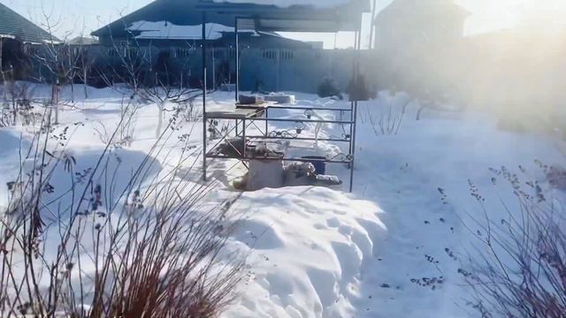 КЛАССНЫЙ ГРУНТ для рассады сезон 2023! Обзор -прогулка по саду в феврале !#классныйгрунтдлярассады