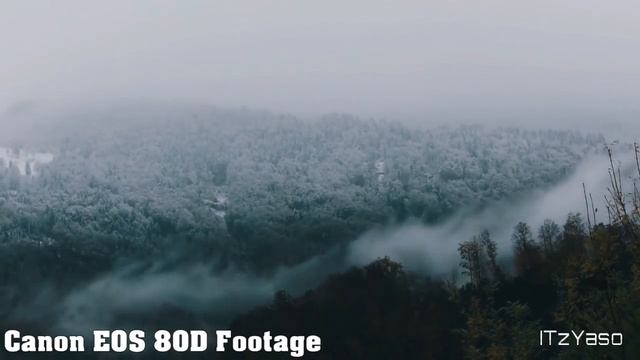 Top 5 Best DSLR Cameras for 2018 - Video and Photo смотреть онлайн