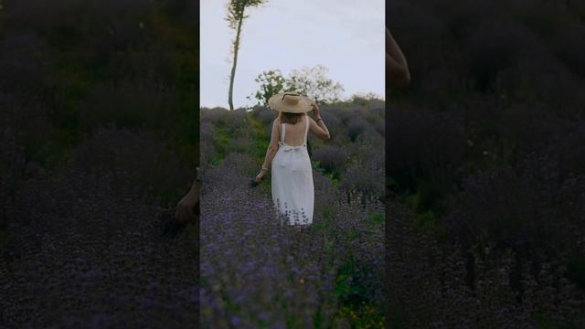 Массажное масло "Лаванда" смотреть онлайн