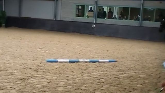 Bram Groninger Hengst смотреть онлайн