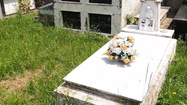 Vue panoramique: Si t'as le vertige laisse tomber! смотреть онлайн