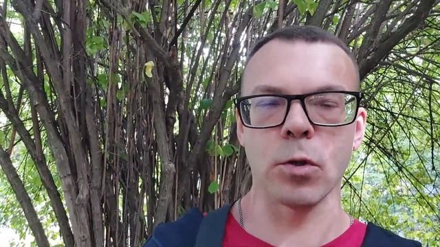 Не растет пауза - сделайте это... смотреть онлайн