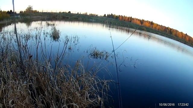 Рыбалка осенью. Щука 2.2 кг. смотреть онлайн