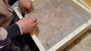 #16 ДЕНДРОБЕНА В ЯЩИКАХ ИЛИ В ВЕДРАХ ЧТО ЛУЧШЕ?