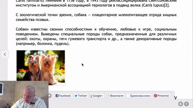 Zzweb. Урок 1. Создаем веб-страницу смотреть онлайн